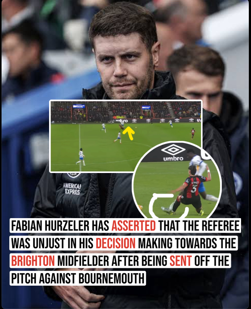 Fabian Hurzeler has asserted that the referee was unjust in his decision making towards the Brighton midfielder after being sent off the pitch against Bournemouth