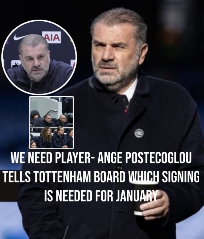 We need player- Ange Postecoglou tells Tottenham board which signing is needed for January