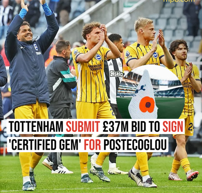 Tottenham Submit £37m Bid to Sign ‘Certified Gem’ for Postecoglou